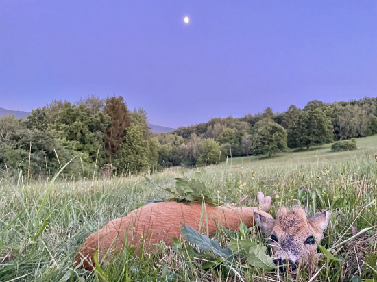 Mesiačik ho vyprevádzal