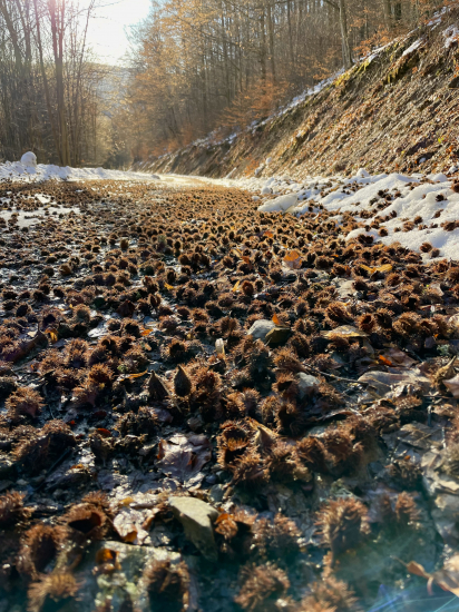 Protišmykový koberec