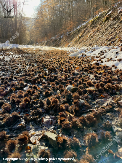 Protišmykový koberec