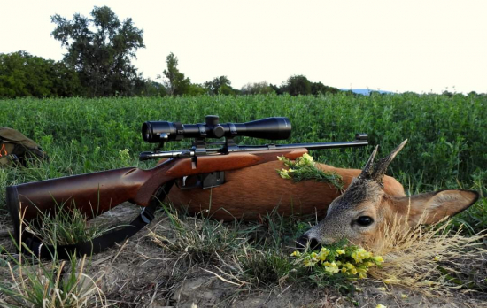 Dnešné úspešné ráno. Lovu Zdar.