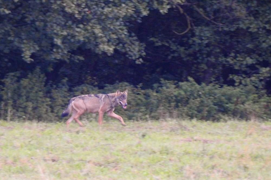 Najkrajší narodeninový darček...Dokumentačná.