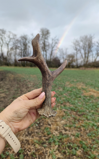 Dnešný najkrajší darček.