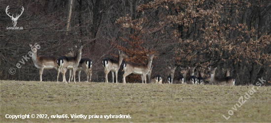 uprené pohľady