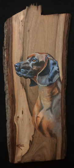 Bavorský farbiar na orechovej doske