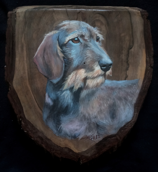 Jazvečík na orechovom dreve