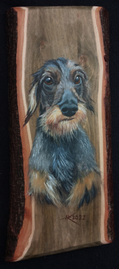 Portrét jazvečíka