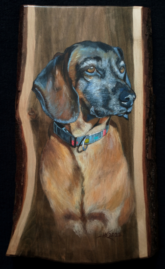 Portrét starého farbiara