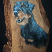 Jagdterrier