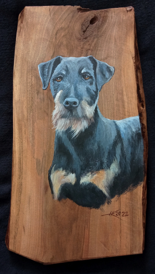 Portrét jagdterriéra