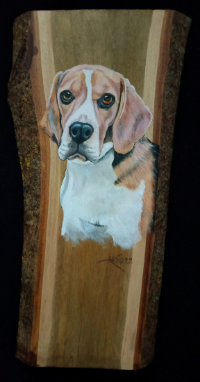 Beagle