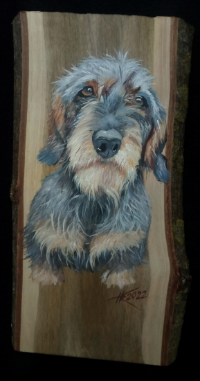 Portrét jazvečíka