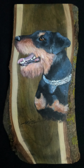 Portrét jagdterriéra