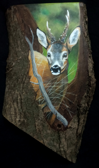 Portrét raritného srnca