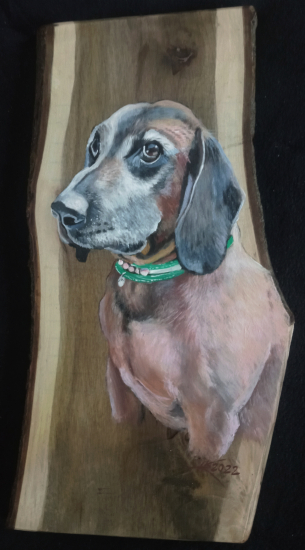 Portrét starého farbiara