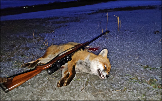 Další lišiačik ...