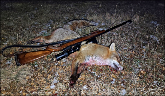 Privábený - a zasa lišiak ...