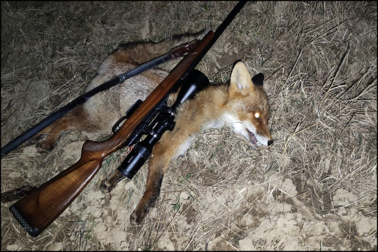 po dlhšom čase ... zasa lišiak :-)