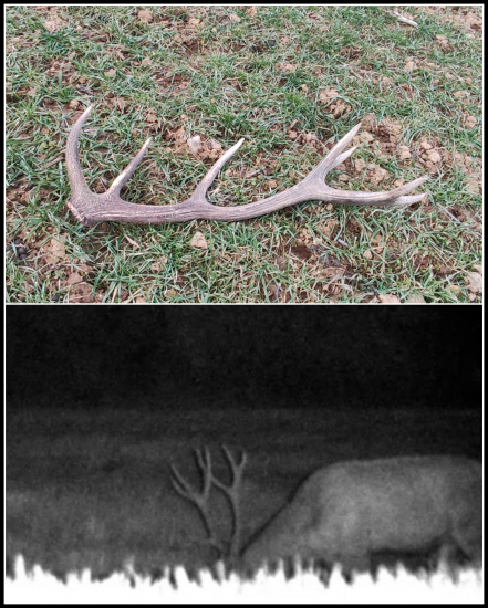 pravý z tohoto fešáka ...