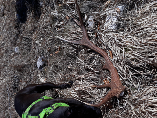 2 kila.. stastie sa nadalo odvazit...