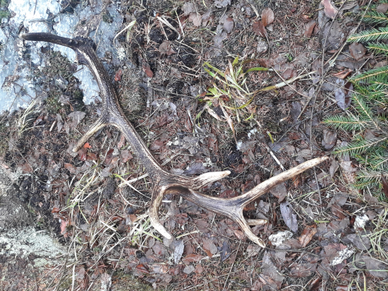 Dufam ze uz niekto nebude proti mne