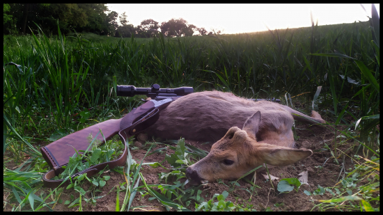 Zatiaľ môj najslabší