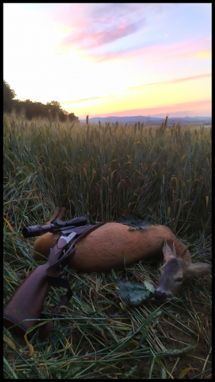 Najsilnejší zo slabých