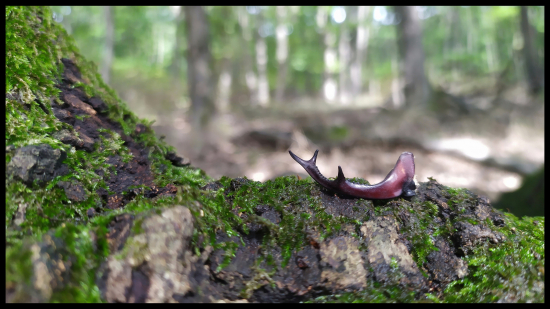 Stále sa dajú nájsť čerstvé zhody...