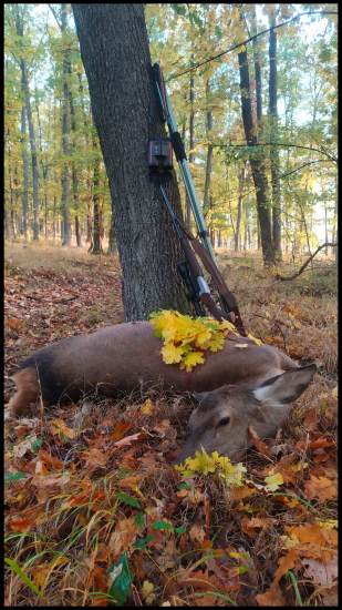 Moja najobľúbenejšia