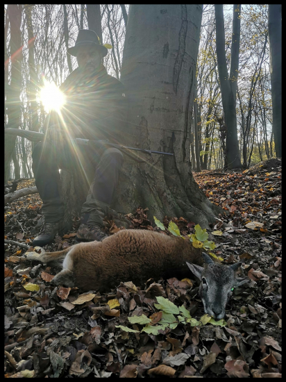 Keď som už ráno vstal...