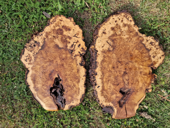 Podložky z nádoru II