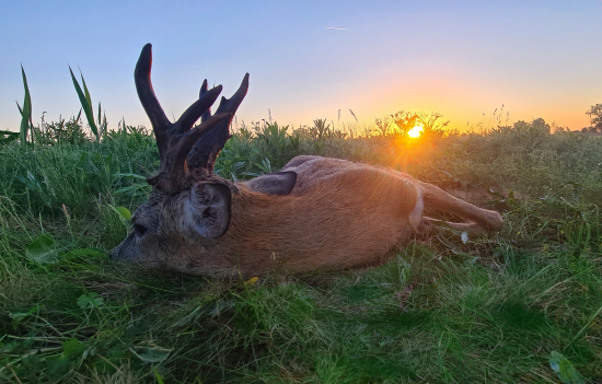 Hezký začátek sezóny.