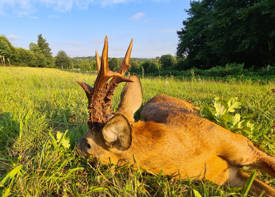 Nová oblast překvapila....