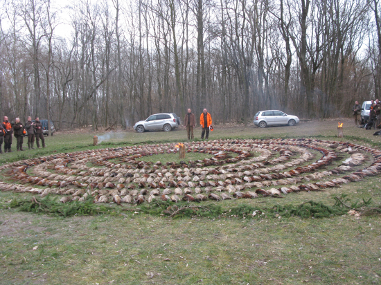 Zaverecna polovacka sezony