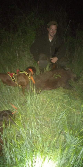 Diviacika uspesne dohladali