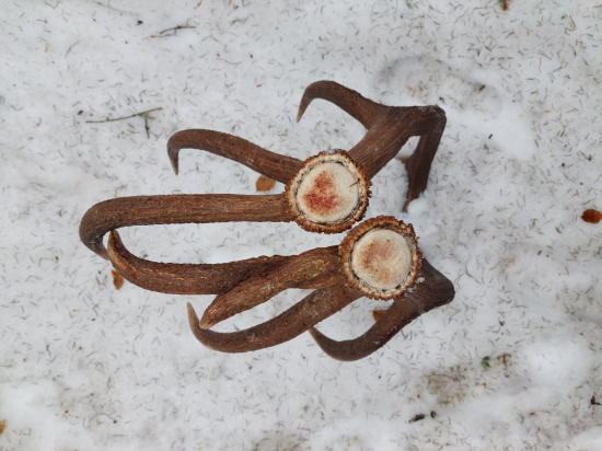 Nádhera sa na to pozerať