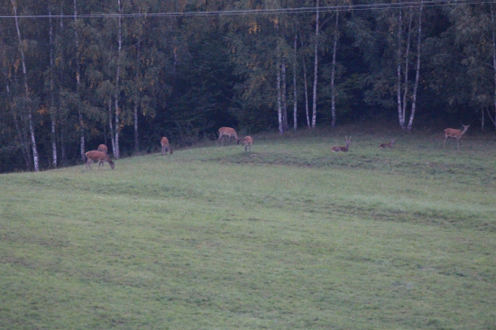 Hlavný pánko zatiaľ schovaný...