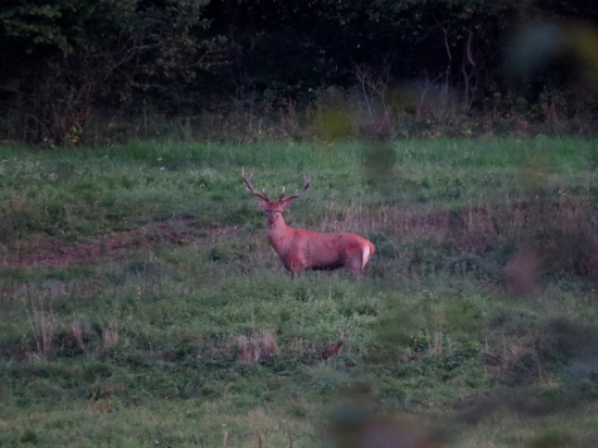 Bližšie sa nedalo...