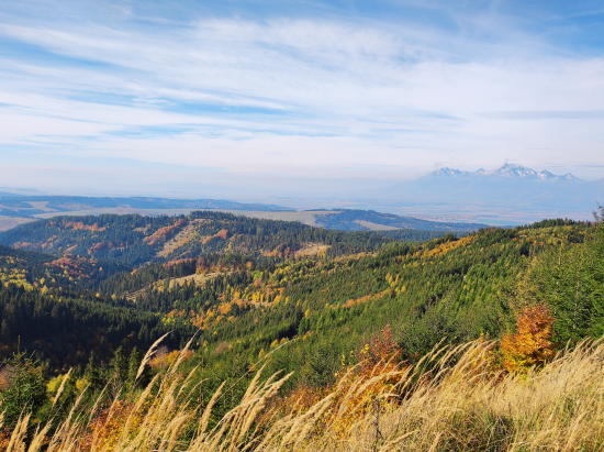 Levočské vrchy...