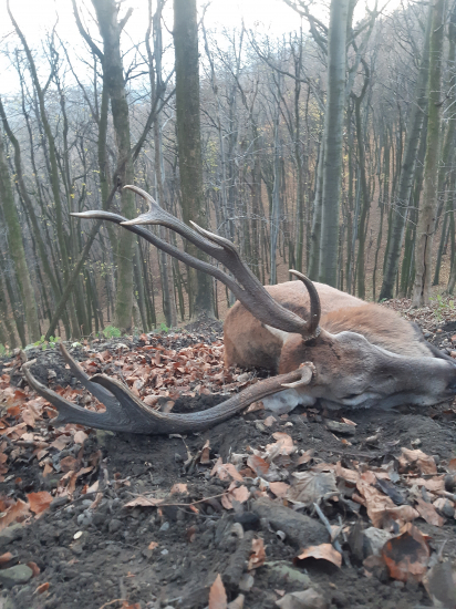 Nezabudnutelný prvý pohled