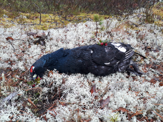 Jeden zo splnených snov