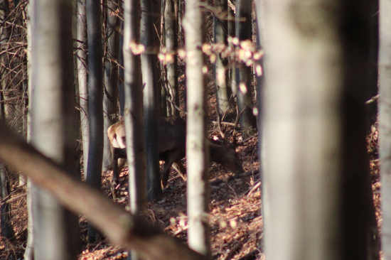drží si svoje klenoty