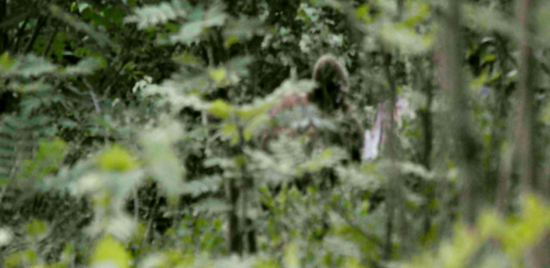 Utajený pozorovateľ