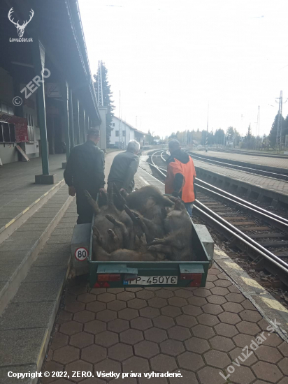 Pendolino Košičan vs diviaky