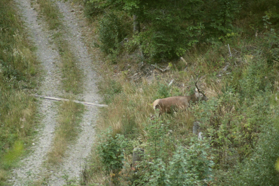 Hore rúbaňou v tichosti