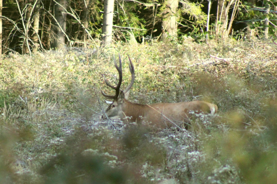 Večný osmák z boka