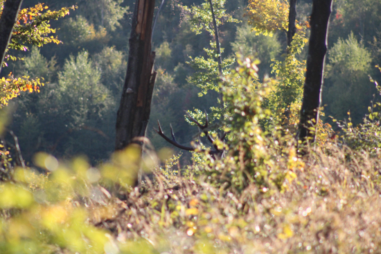 Do stráni jesenné slniečko opiera sa