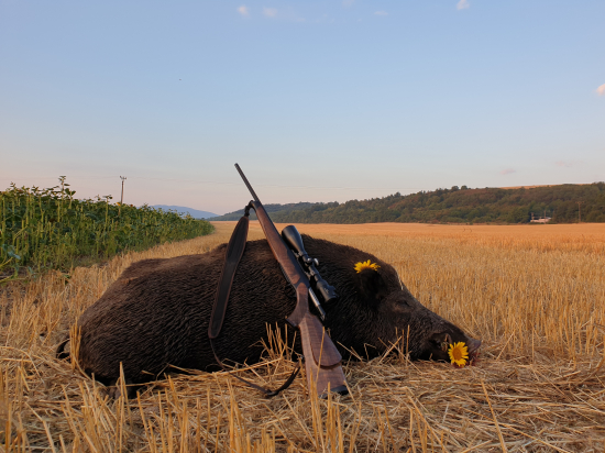 Ranná päťminutovka