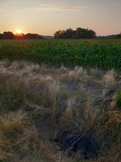 Roztrhlo sa kančie vrece
