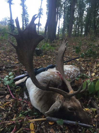 Daniel na rochanisku