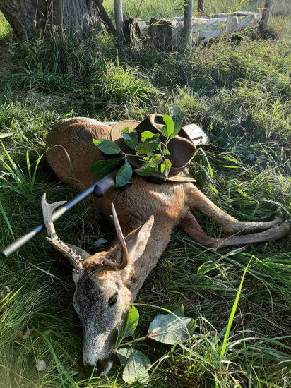 Srnec II vt - moja srdcova zalezitost